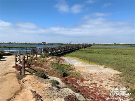 bolsa tripe|bolsa chica reservoir tours.